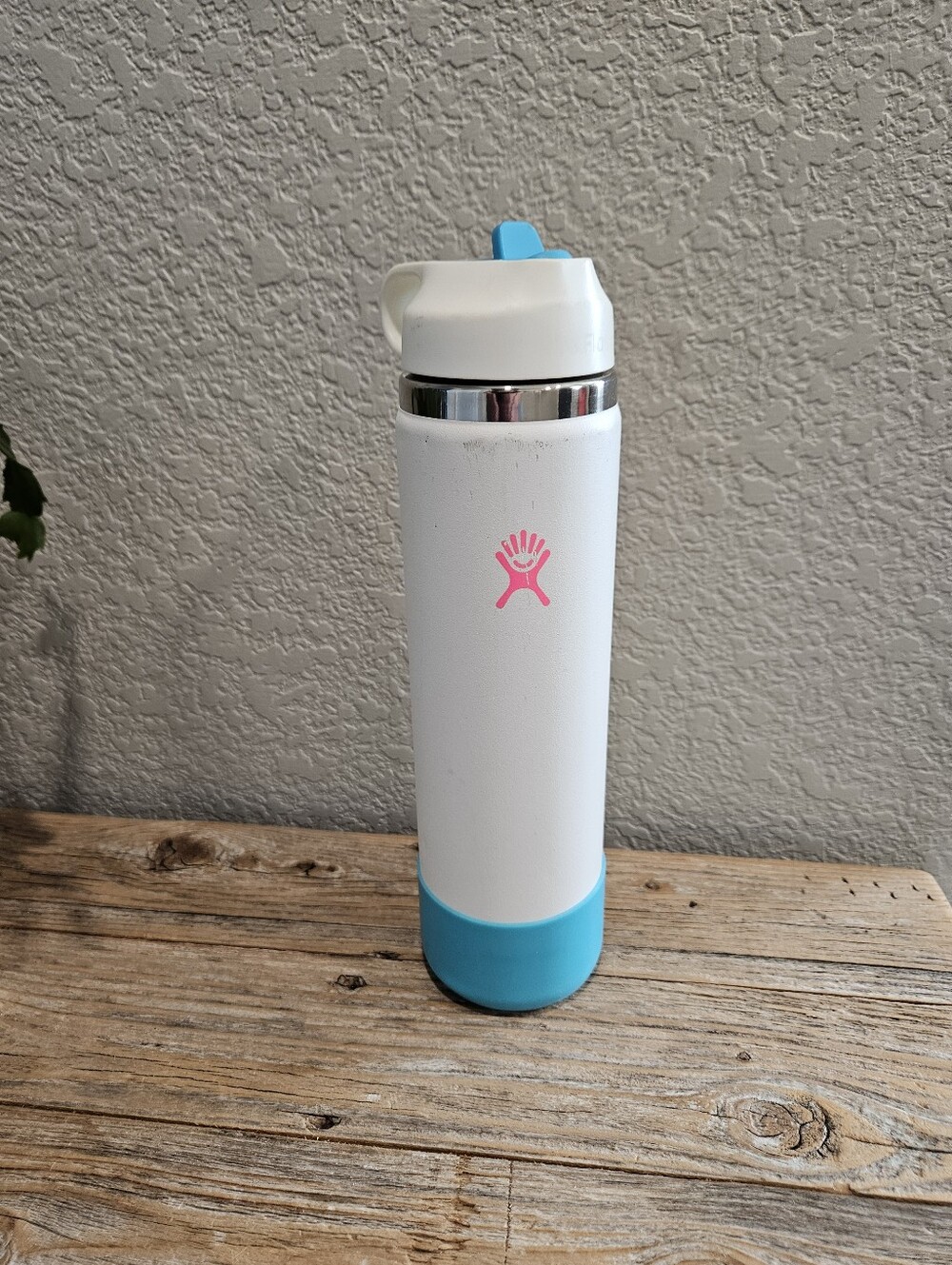 Hydro Flask 24 Oz Water Bottle